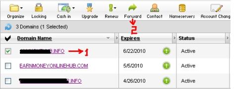 Domain Forwarding Demo2