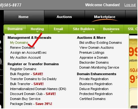 Domain Redirection Demo