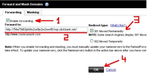 Domain Redirection Demo3