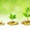 Building Wealth